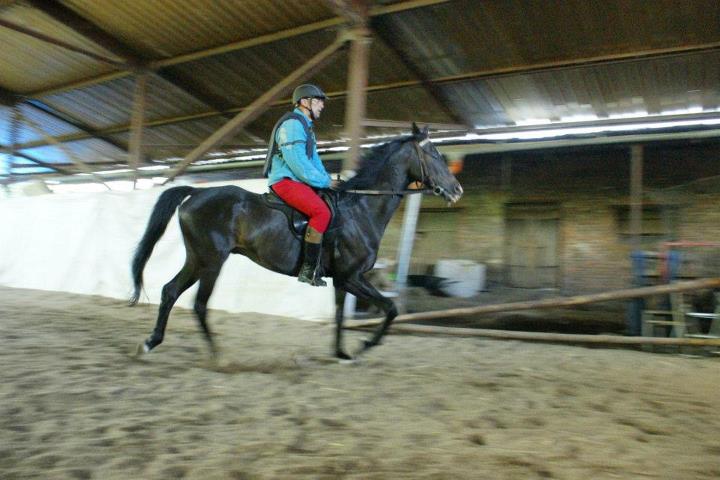 Pondělní hodina, 9.7.2012 006